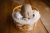 IMG_4485.jpeg