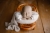 IMG_4500.jpeg